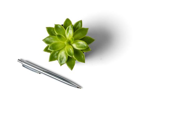 cactus pen image