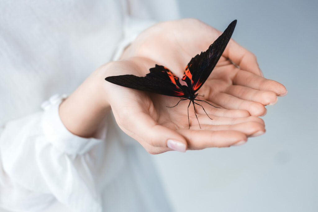 Butterfly in woman's hands letting go