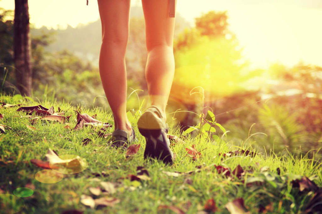 Legs walking through a sunny forest - true essence