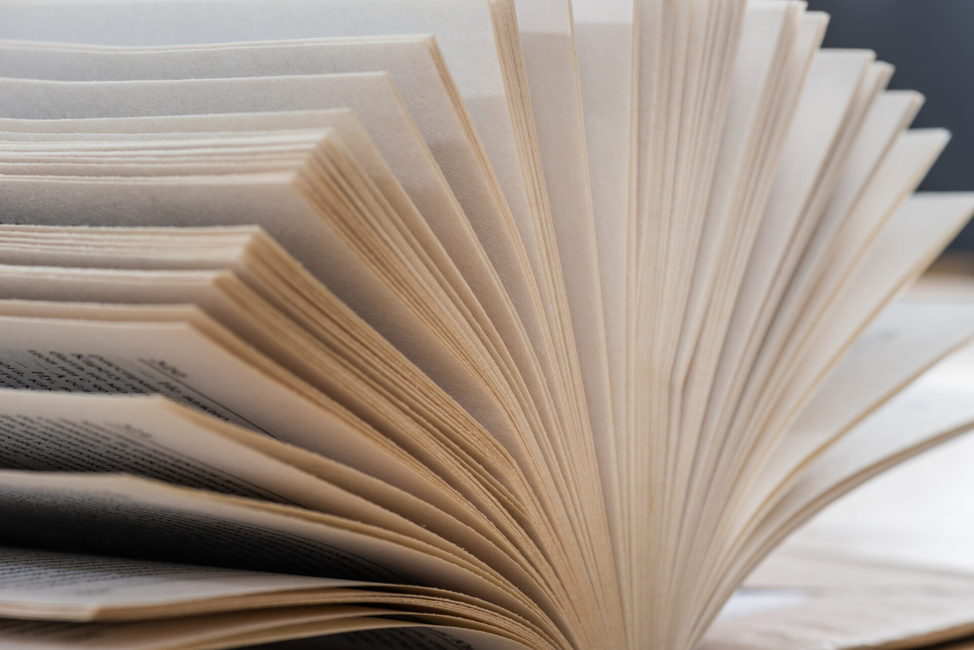 pages of an open book